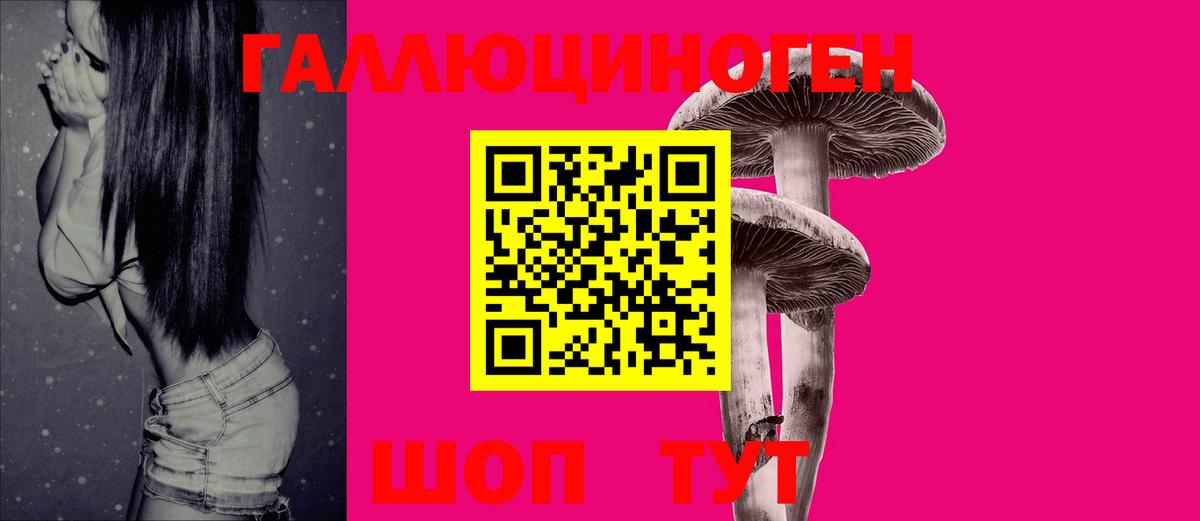 Темрюк  Галлюциногенные грибы Magic Shrooms  Галлюциногенные грибы Psilocybine cubensis  Вход с VPN 